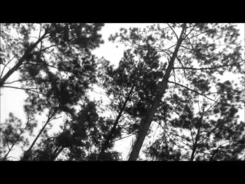 my new webkinz music video so happy with it.