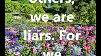 We are liars