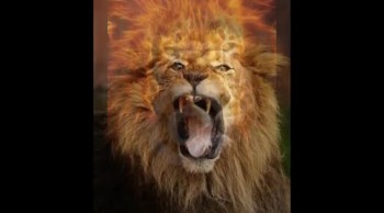 Let The Lion Roar 