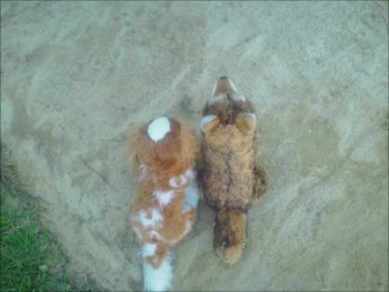 I love doing stopmotions even though there not long.