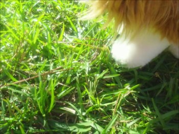 I love doing stopmotion I'am stopmotion crazy just so you know.