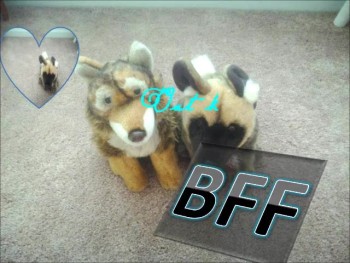 I love this song. this video is deadicated to Divergent.kinz love your videos