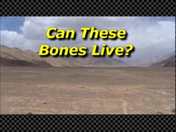 Can These Bones Live - Randy Winemiller 