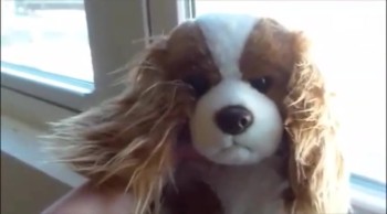 my first video my video i had a previous account u prob cantell by my voice and my style of music   . music by/ ACDC royalty free music amazon.com