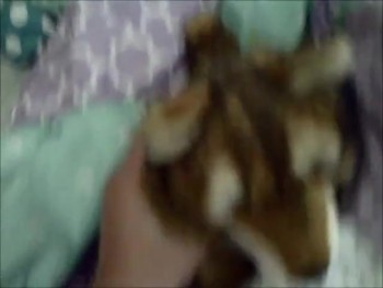 Hi ya just saw your vid! thanks for responding. And sorry if the vid kinda was criticizing not really meant to be that way.<br />and thanks again for subscribing!!!!