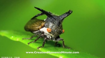 Brought to you by CreationMoments.com.