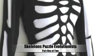 Skeletons Puzzle Evolutionists (Part 1 of 2) 