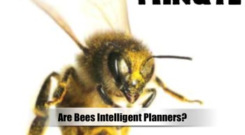 Sponsored by CreationMomentsMinute.com