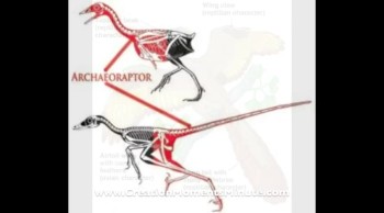 Brought to you by https://www.CreationMomentsMinute.com. 