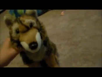 hey guys this is a video just to say merry christmas and a happy new year <br /><br />sorry its late