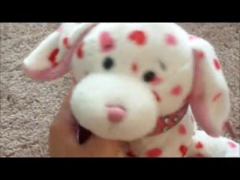 SIGNATURE collection 2014