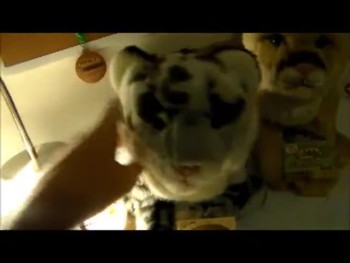 hi guys this is the last adoption video lol that.