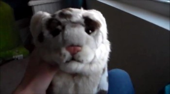 hello guys so sorry for the deale of the wood's but the 1 episode will come out tonight 