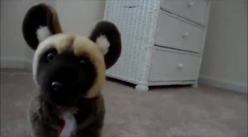 hi guys I was SOOOOOOOOOOOOOOOOOOOOOOOOOOOOOOOOOOOOOOOOOOOOOOOOOOOOOOOOOOOOOOOOOOO BOARDLOL.