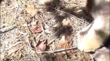 in this episode Aster has to make a desscission but she finds it harder than she thought.