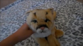 this is a very important video this is no joke.