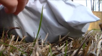 hi guys my webkinz is here and iam so exited.