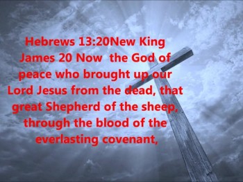 Romans 16:20<br />The God of peace will soon crush Satan under your feet.  The grace of our Lord Jesus be with you.