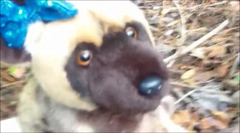 In this episode aster has made her desission but now jake is in danger.