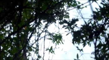 in this episode Jinger has a dirty secert that she is keeping from everyone.