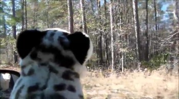 ya sorry about the tittle i coulent think of anything anyway i hope u like it.<br /><br />music by/ amazon.com royalty free music company