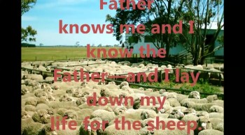 The good shepherd 