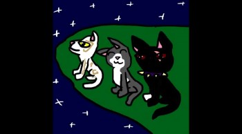 Swirlcoat is a rare and beautiful white-and-tan spotted siamese on both the inside and out, but her leader thinks otherwise. She's chased out, but then she gets the shock of her life. Will she survive this treacherous storm of bad luck?