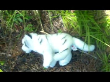 In this episode Carry is captured by the pack and is held there for answers.<br />meanwhile Cara is feeding Nina intell on how progress is working.