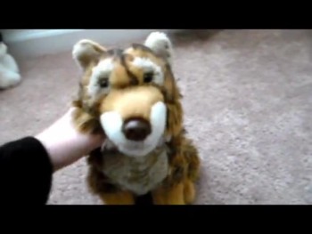 hi guys again I am so sorry that I haven't been on lately but I am back now so stay tuned for more videos to come:) <br />video made on (March 2, 2015