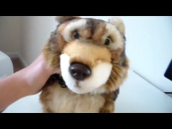 hi everyone this video Is deadicated to my best friend:)