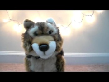 all questions from friends(www.pinterest.com) <br />www.pinterest.com/BlueAvenue