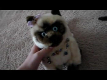 hi guys I made this video a while back so sorry about the bad footage!!!