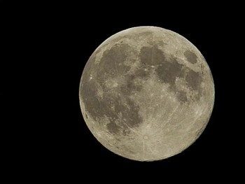 Studio Tracks from compilation of original compositions