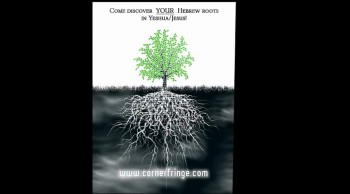 Discover Your Calling Into Israel Part 2 of 5: Paul's Warnings; Marcion, Constantine, Catholicism