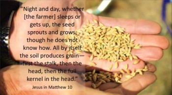 The Parable of the Seed (and the Science of Germination) 