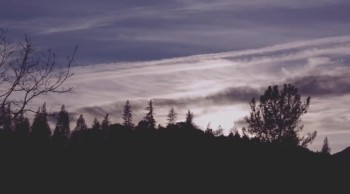 An emotive visual for Bethel Music’s newest album We Will Not Be Shaken. This song, “Jesus We Love You,” shares scenery that brings the lyrics to life. 