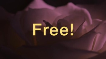 Free! 