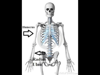 Overview: https://emtworkbook.com