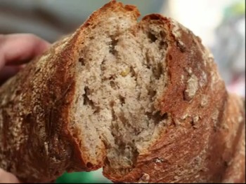 Come, Believe, Live!