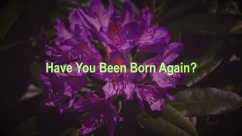 Have You Been Born Again? 