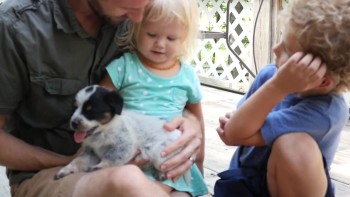 Our baby loves playful and cute adopted puppy | Burykin Family 