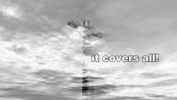 Daily encouragement from Carole Carnie.<br />www.carolecarnie.com