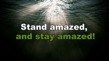 Stand Amazed 