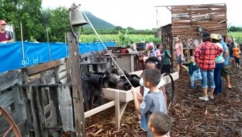 Waimanalo Country Farms Field Trip (2015) 