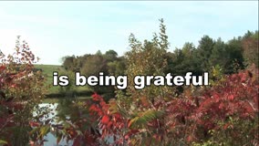 Expression of Thankfulness 