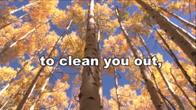 Daily encouragement from Carole Carnie. Please share with your friends and family!<br />Subscribe to our free YouTube page and get "Daily Encouragement" sent directly to your email inbox!<br />Just click on the link to subscribe!!<br />https://www.youtube.com/channel/UCUUrfG2PyAHRHnro8aOn6yQ