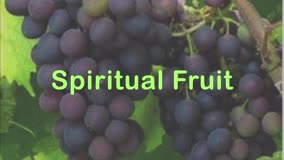 Spiritual Fruit 