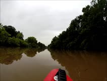 Mr. Brown Kayaks Down Bayou Teche 