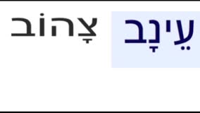How to Say Grapes in Hebrew 