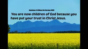 Trust in Christ 
